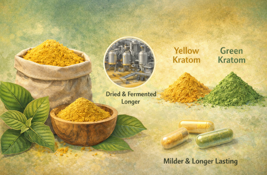 What is Yellow Kratom: How It’s Made & Compares?