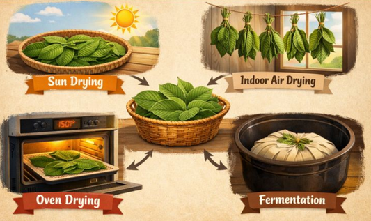 Kratom Drying Methods: Sun, Shade, Indoor & Fermented